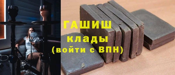 гашик Пестово