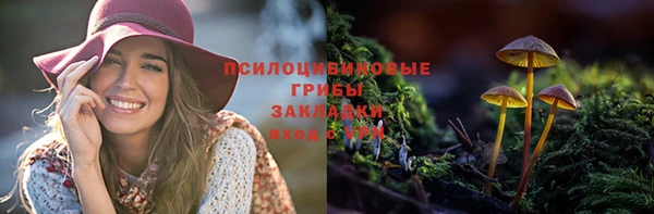 дживик Алексин