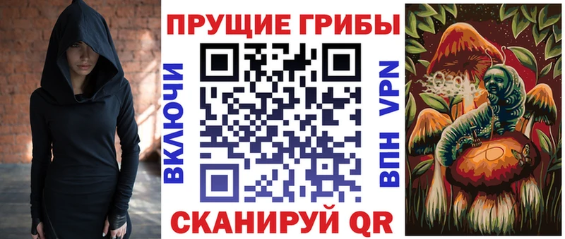 закладки  Тара  Галлюциногенные грибы прущие грибы 
