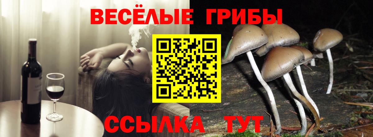Тара  купить наркотики сайты  Псилоцибиновые грибы ЛСД  Вход с VPN  Псилоцибиновые грибы прущие грибы 
